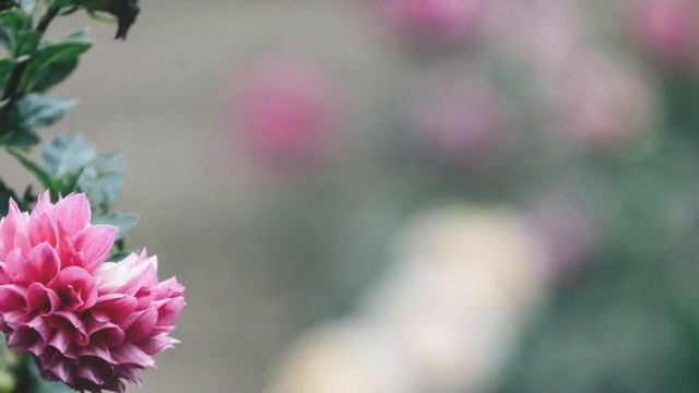 Весенний Чилл-микс 🌺 | Chill Mix