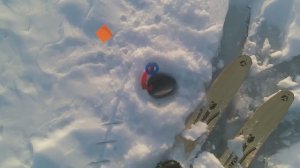 Рыбачим жельцами на щуку