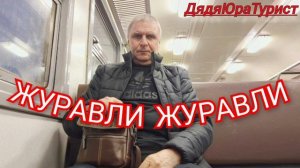 ЖУРАВЛИ ЖУРАВЛИ