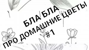 Цветочное Бла Бла Бла#1