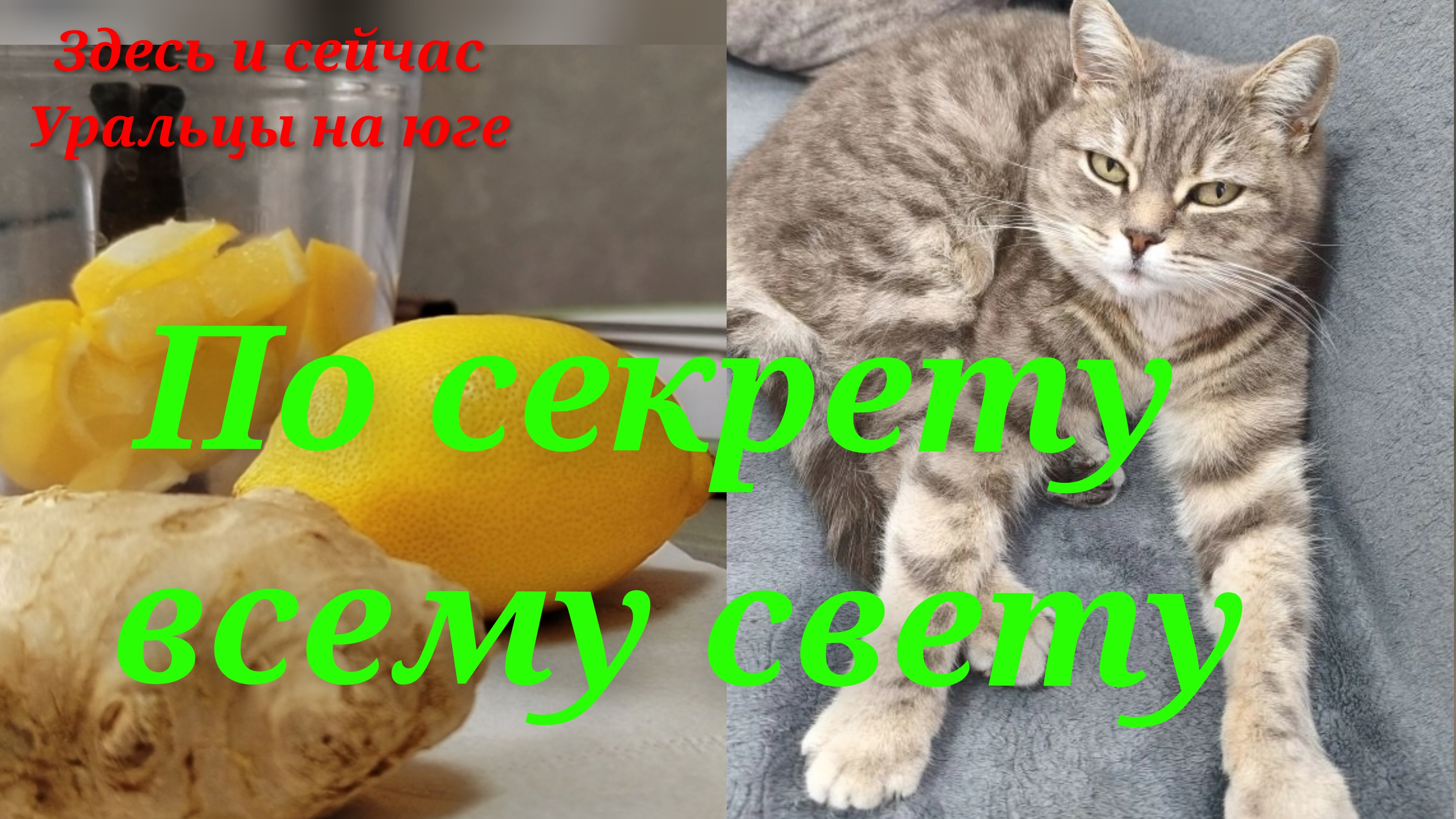 По секрету всему свету.А поговорить!?