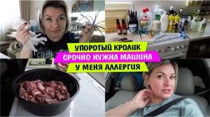 УПОРОТЫЙ кролик / СРОЧНО нужна машина / У меня АЛЛЕРГИЯ / Vika Siberia LifeVlog