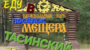 🫠Моя поездка🚗в посёлок🌲 Тасинский-Перхурово🌄Национальный парк Мещёра🌳#паркмещёра #тасинский