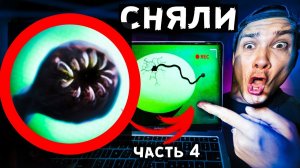 ЧЕРВЬ ПОЖИРАТЕЛЬ вылупился! Мы сняли всё на СКРЫТУЮ КАМЕРУ !