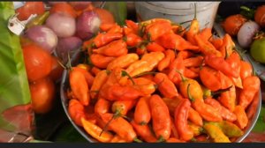 Не каждому по вкусу. Путешествуя по миру. Азиатская уличная еда.