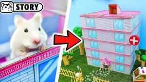 🐹Хомяк в лабиринте больницы 🏥 Приключения хомяков на полосе препятствий