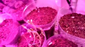 💥Получила подарок💥 Поработала 🔥🔥🔥