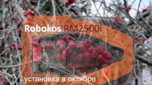 Робот газонокосилка Robokos RM 2500i Pro. Установка и обзор работы робота в октябре.