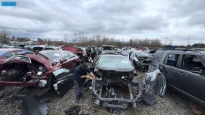 JunkYard. Джим Сойер. Рабочие будни.