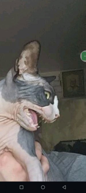 эм видео
