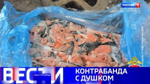 Вести Санкт-Петербург. Выпуск 09.30 от 25.03.2026