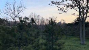 ОДЕССА 25 МАРТА 2026. В МАРШРУКАХ ОДНИ ЖЕНЩИНЫ! СУЩЕСТВЕННО ПОВЫСИТЬ ШТРАФЫ ЗА РУССКИЙ ЯЗЫК!