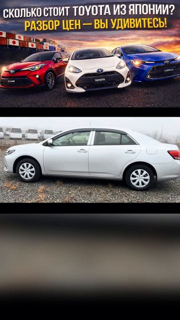 Сколько сейчас стоит Toyota из Японии? Разбор цен — вы удивитесь!
