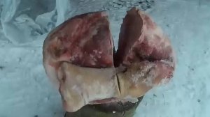 КАК нас ОБМАНЫВАЮТ в СВЕТОФОРЕ