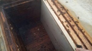 Контроль кормов и постановка верховых кормушек ( поилок )