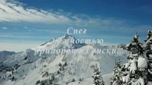 Снег нежностью припорошил виски   *