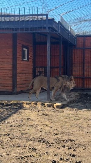 И куда он пошел?