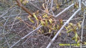 Мариуполь 🏙️ сегодня.Уютный дворик.В магазин Шахтерский люди жалуются, давно не завозят яйца.