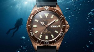 САМЫЕ ДОСТУПНЫЕ ISO СЕРТИФИЦИРОВАННЫЕ ДАЙВЕРСКИЕ ЧАСЫ!  Citizen Promaster Marine