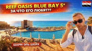 Египет🇪🇬 СЮДА ЕЗДЯТ ГОДАМИ❓ Reef Oasis Blue Bay 5* Шарм Эль Шейх: ужин, атмосфера, честный отзыв
