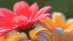 АПРЕЛЬ--ТЕЛЕЦ(таро)