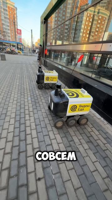 Роботы! Скоро весна!