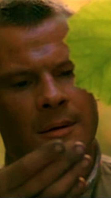 Бой в лесу - в Августе 44 - Помните :)