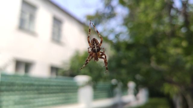 Один из дней города Евпатории | 13 июля 2021 год | Крым | ХАН БАТОН XAH 6ATOH | VID_20210713_134036