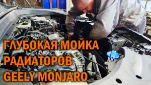 Глубокая мойка радиаторов перед теплым сезоном - Автотехцентр SoundSpeed