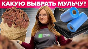 ОСОБЕННОСТИ МУЛЬЧИ! Видео из архива
