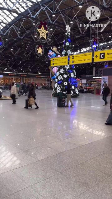 Аэропорт Шереметьево декабрь 2025✈️