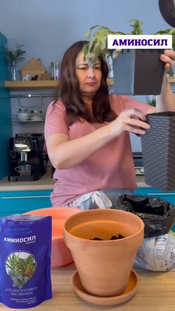 Пересадка декабриста