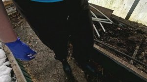 Супер выходные: первые посадки, подготовка маточников и обновления на даче!