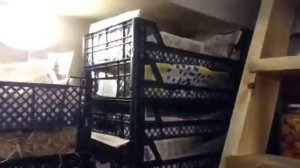 Обзор погреба КАСКАД в доме