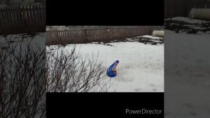 25 мая 2026 год