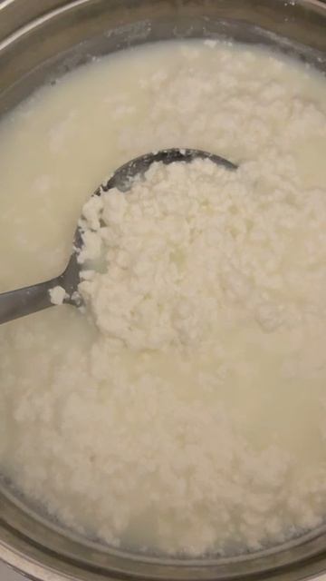 Готовим сегодня — Адыгейский сыр🍚