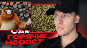 Лягушачья ферма в Китае😱 Самая добрая обезьянка в мире❤️...ТОП НОВОСТЕЙ