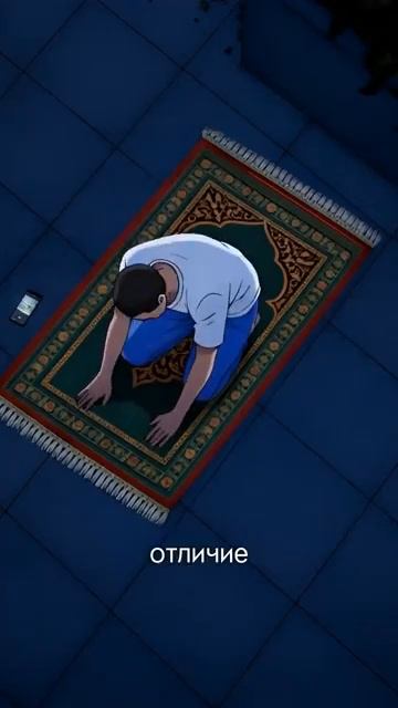 Что значит «АЛЛАХУ АКБАР» ❓ 🕋