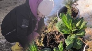 САЖАЮ ЕЛЬ И НЕ ТОЛЬКО. Середина марта. Снега всё меньше.