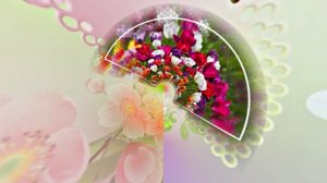 Весна! Очаровательные тюльпаны 2! Киностудия Мудрого Кота Тимофея!