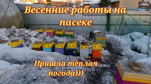 Весенние работы на пасеке в марте. 25.03.2026г.