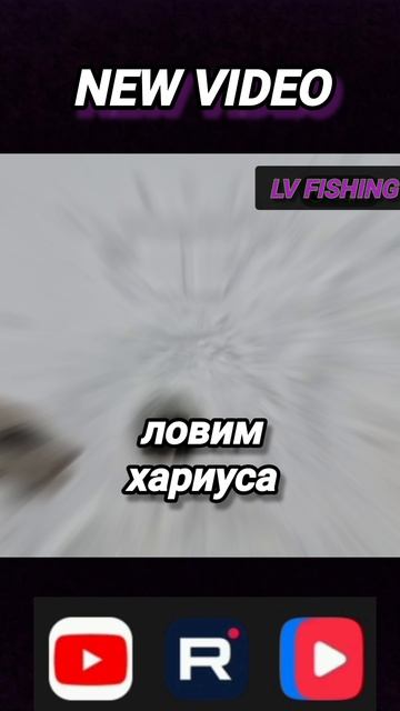 СИБИРЬ ТАЙГА ХАРИУС РЫБАЛКА