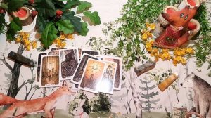 Почему тебя не выбирают и не ценят? Таро расклад