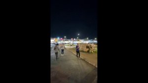 Египет (превью)