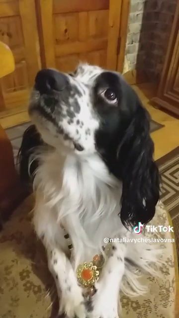 На все руки мастер...)))