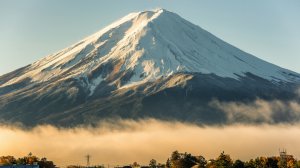 copy_78300247-2DD6-4595-AEE6-AEA397AFAE36