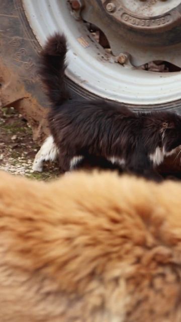 Работа современных насосов: процесс и технологии #технологии #производство #насосы