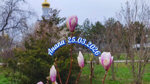 Анапа 25.03.2026