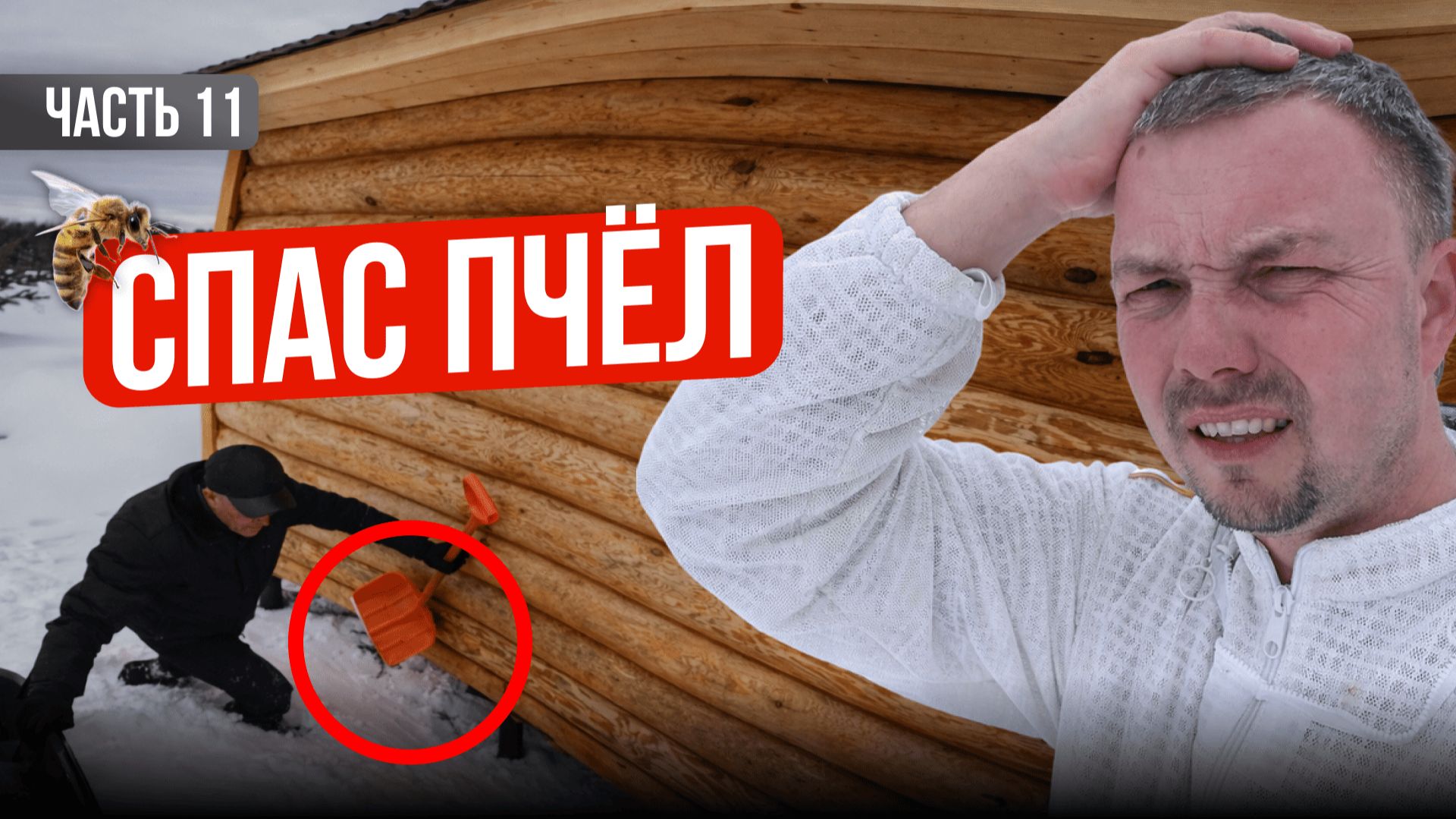 Сбежал с офиса на пасеку! Что из этого вышло? Строю пасеку с нуля | Серия 11