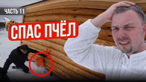 Сбежал с офиса на пасеку! Что из этого вышло? Строю пасеку с нуля | Серия 11